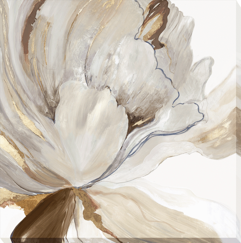 Butterfly Flower I-II by Asia Jensen - Wrapped Canvas