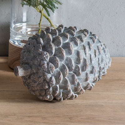 Pinecone Grey Weathered - The Pack Design
