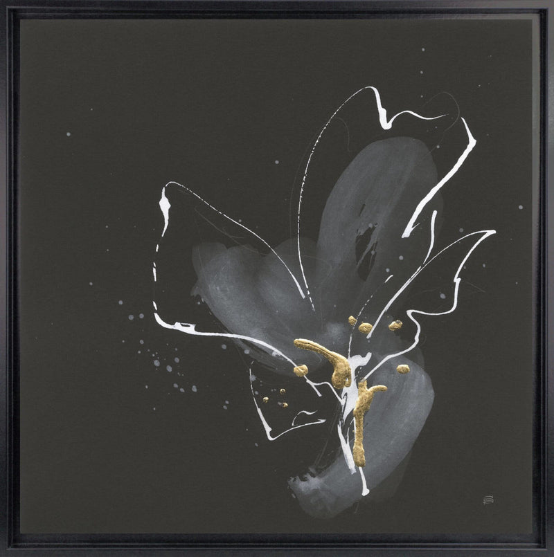 Dramatic Flower by Chris Paschke - Framed