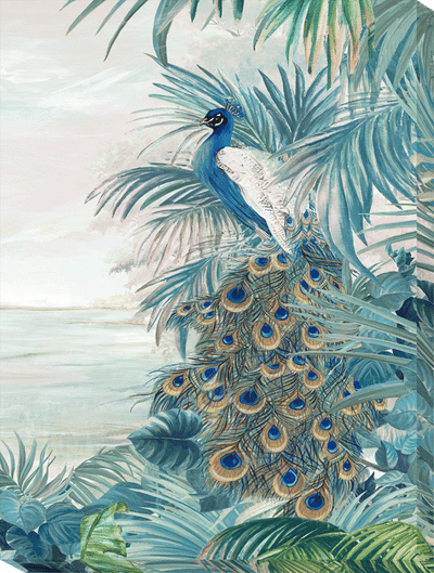 Peacock Glory I-II by Eva Watts - Canvas