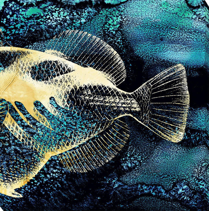 Golden Fish I-II by Christine Zalewski - Canvas